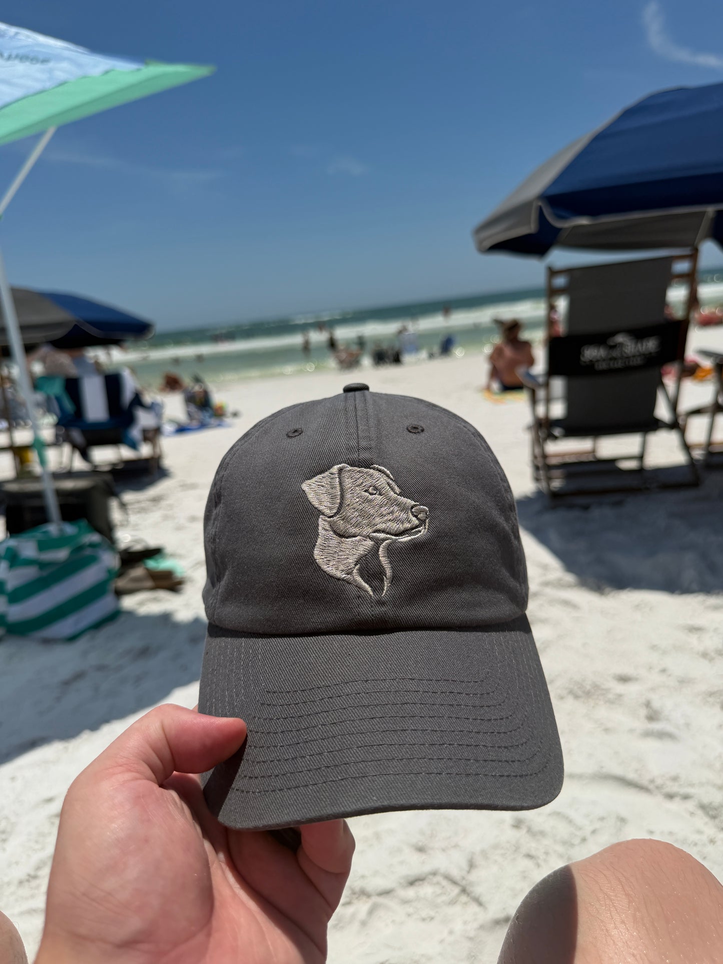 Classic Logo Hat